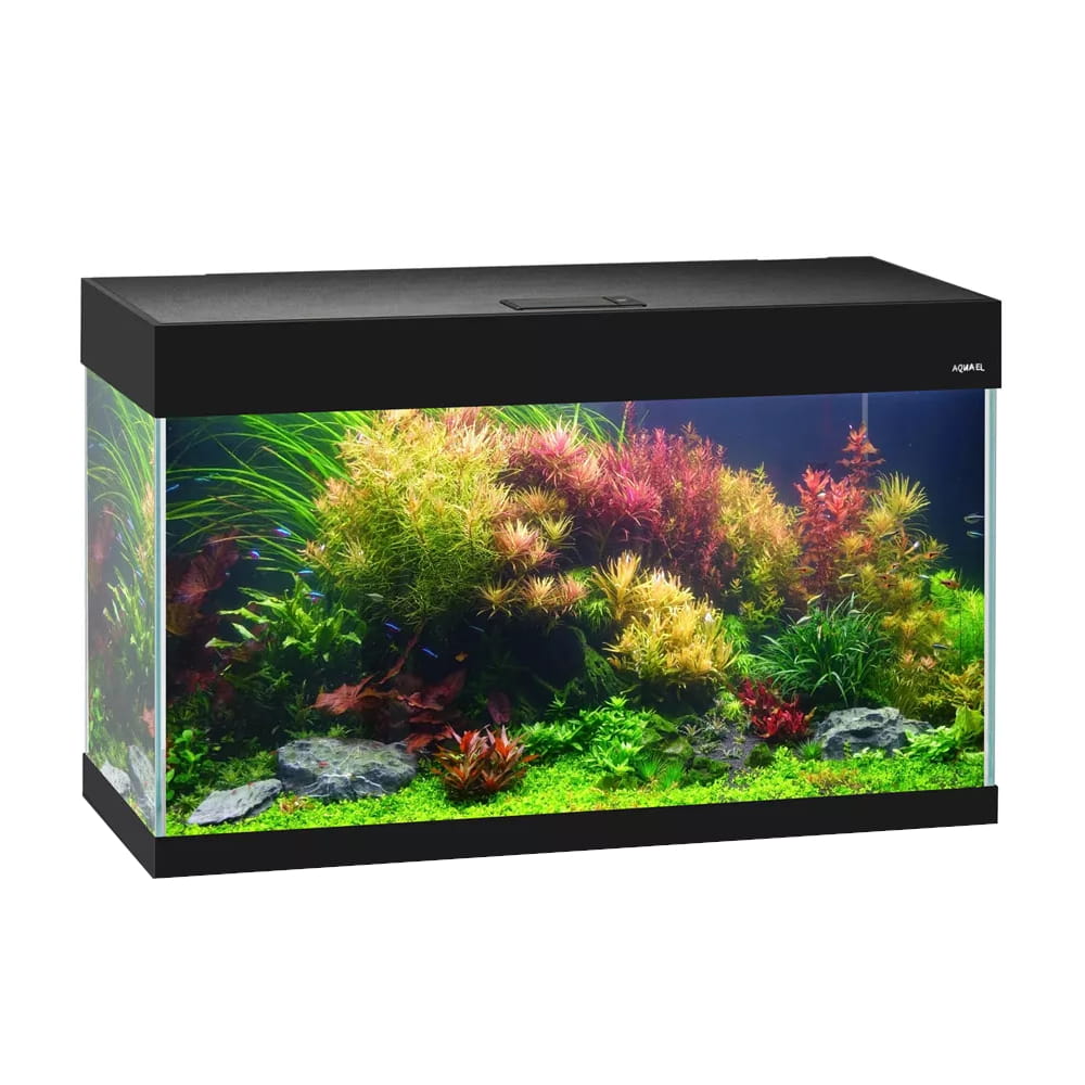 Aquael Opti Set czarny 81x36x51 akwarium 125l z oświetleniem D&N 2x14w.jpg